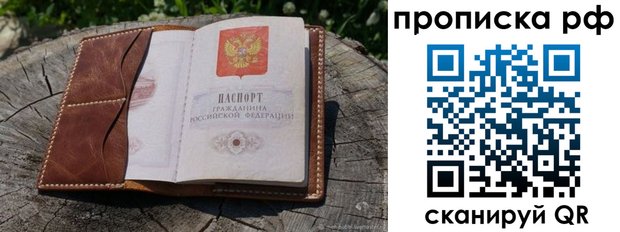 временная регистрация гарантия в Зее